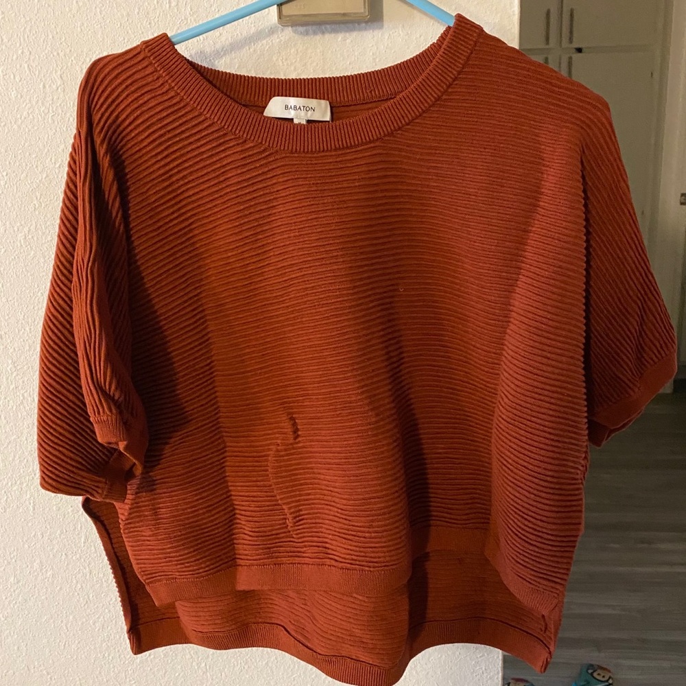 Babaton Brown Shirt